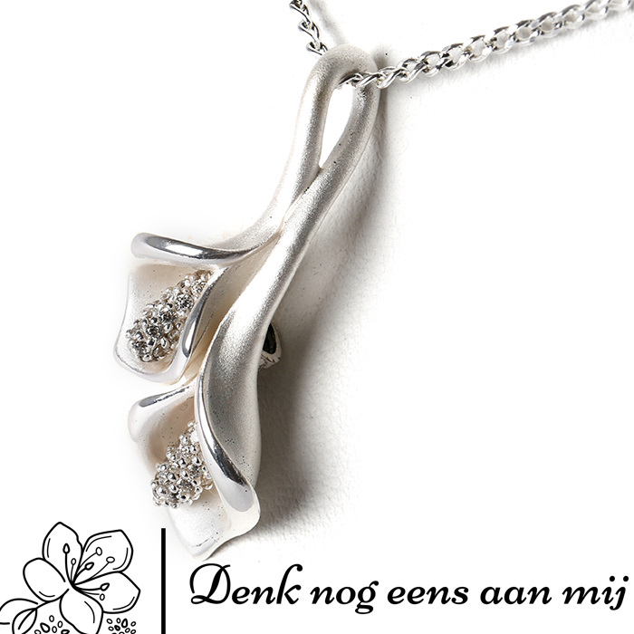 Zilver incl. Ketting