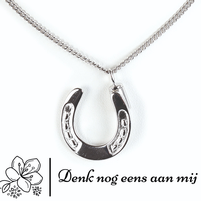 HZ802 | Zilver Incl. Ketting