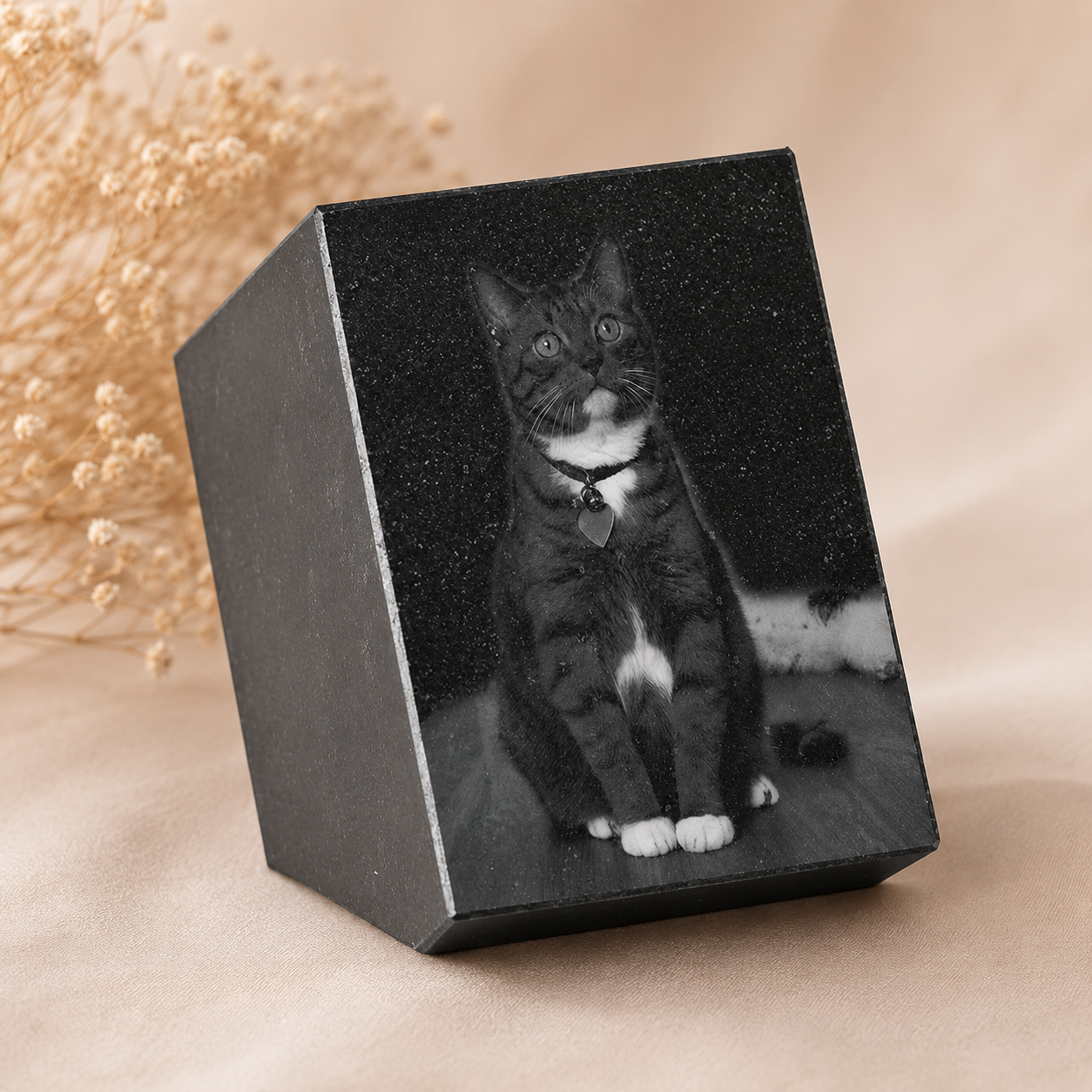 Gedenksteen met foto van kat in zwart natuursteen op een zachte beige achtergrond – stijlvol herinneringsornament voor een geliefd huisdier, passend als blijvende herdenking in huis.