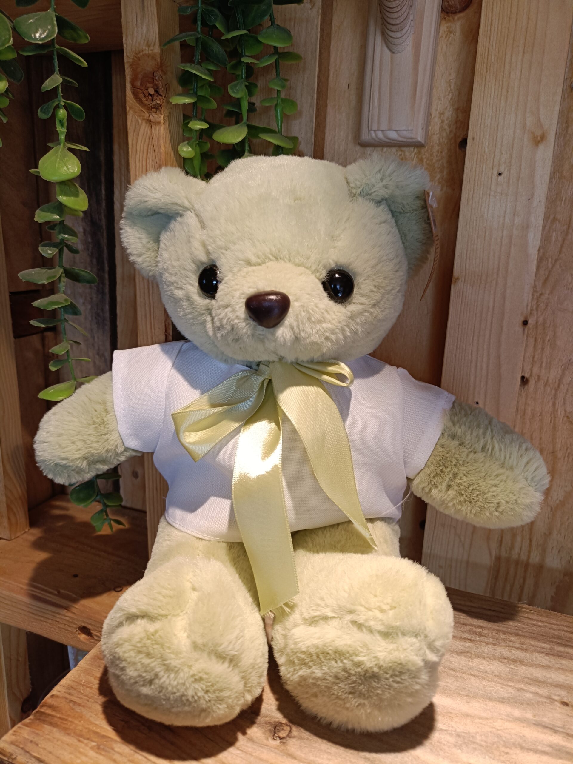 Gepersonaliseerde Knuffel met Naam of Tekst | Uniek Cadeau- mintgroen