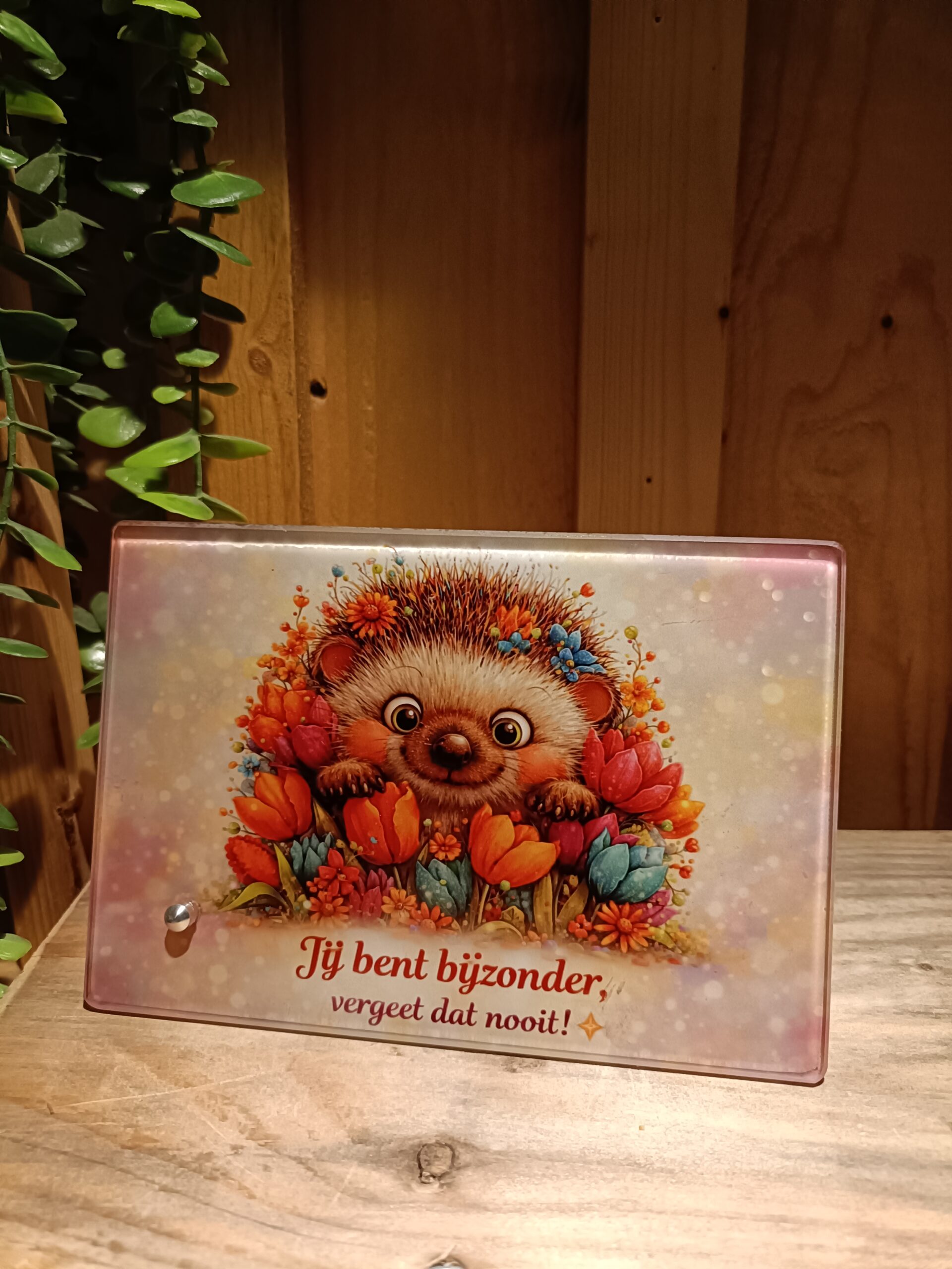 Glasframe -Jij bent bijzonder - Egel